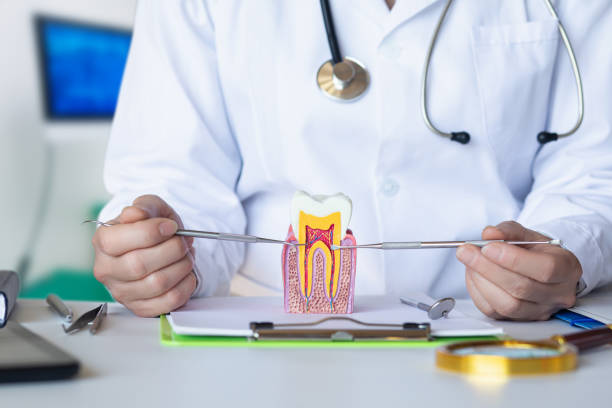 Best Emergency Treatment for Oral Infections in Eastpointe, MI